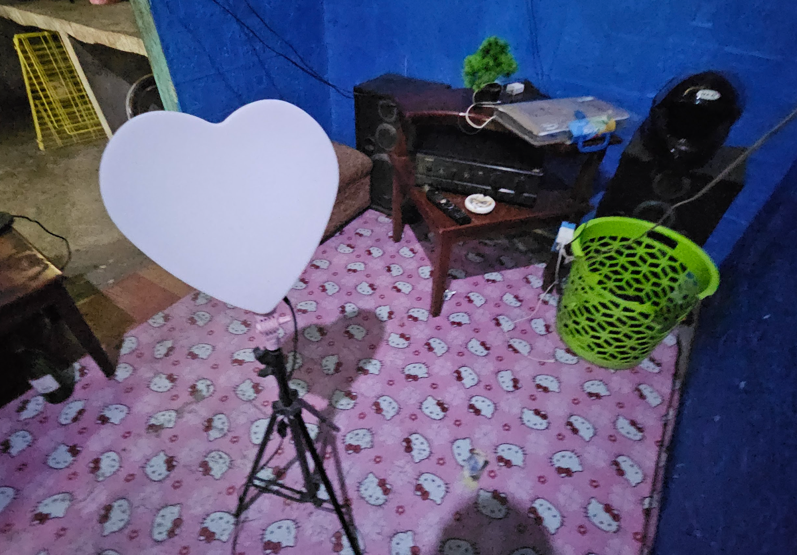 Inside the home