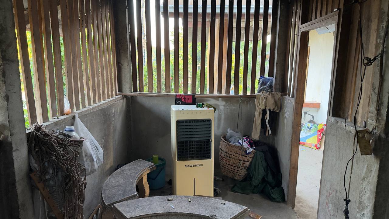 Inside the home